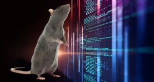 Rat | SOSECURE MORE THAN SECURE