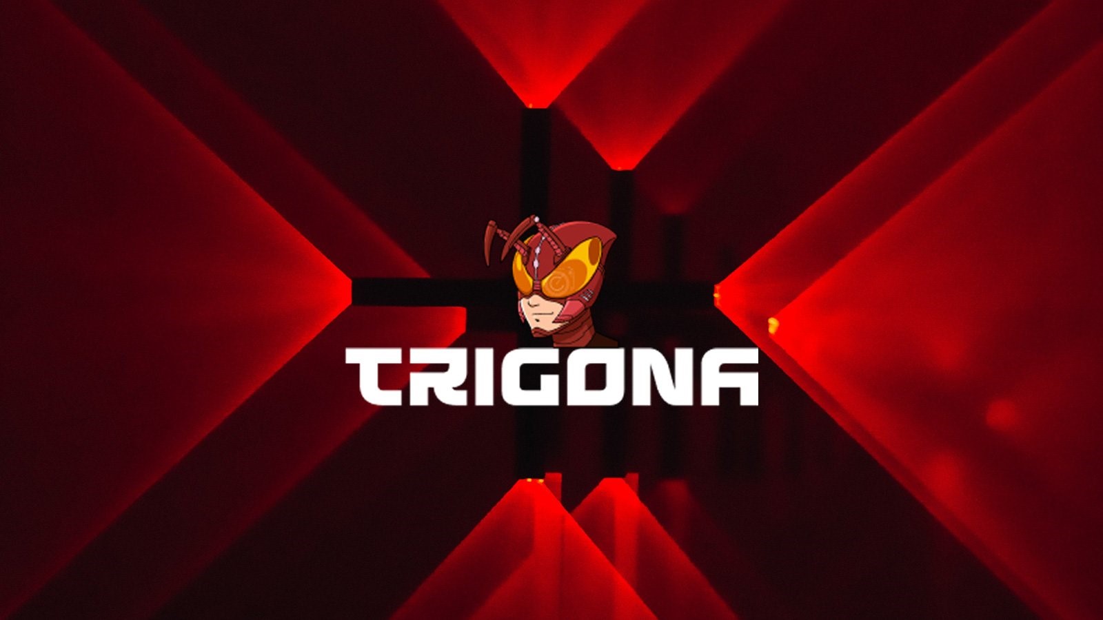 Trigona | SOSECURE MORE THAN SECURE